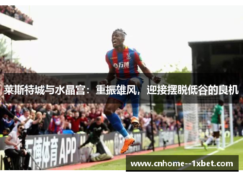 莱斯特城与水晶宫：重振雄风，迎接摆脱低谷的良机